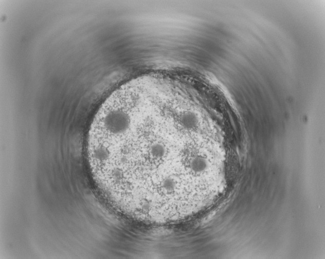 X0000088590257200706221348