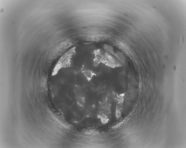 X0000088590258200706221348