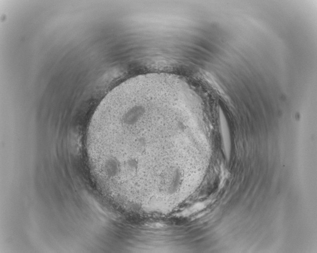 X0000088590259200706221348