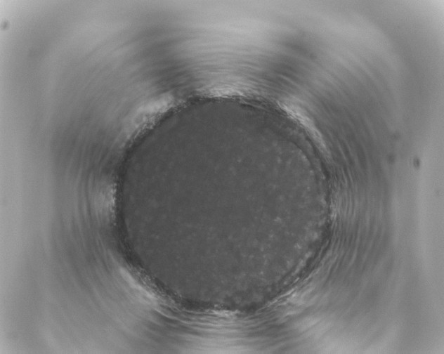 X0000088590260200706221348