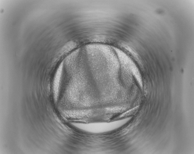 X0000088590261200706221348