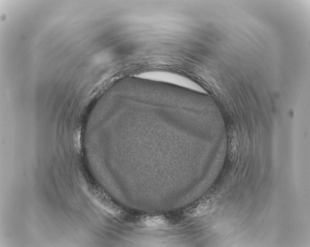 X0000088590262200706221348