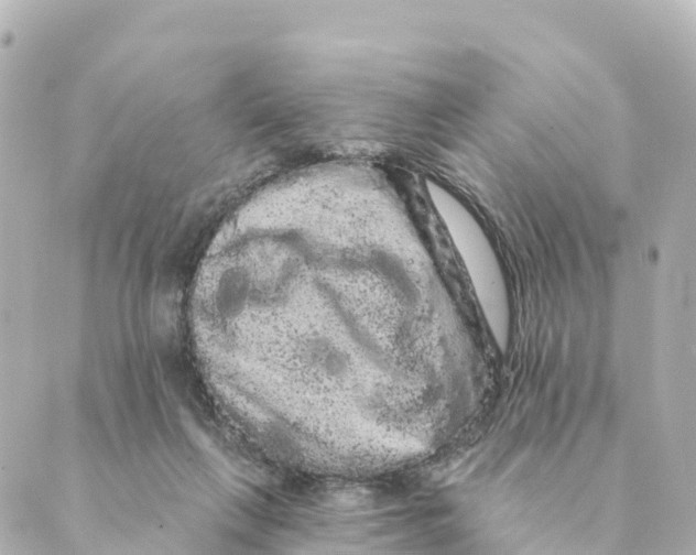 X0000088590263200706221348