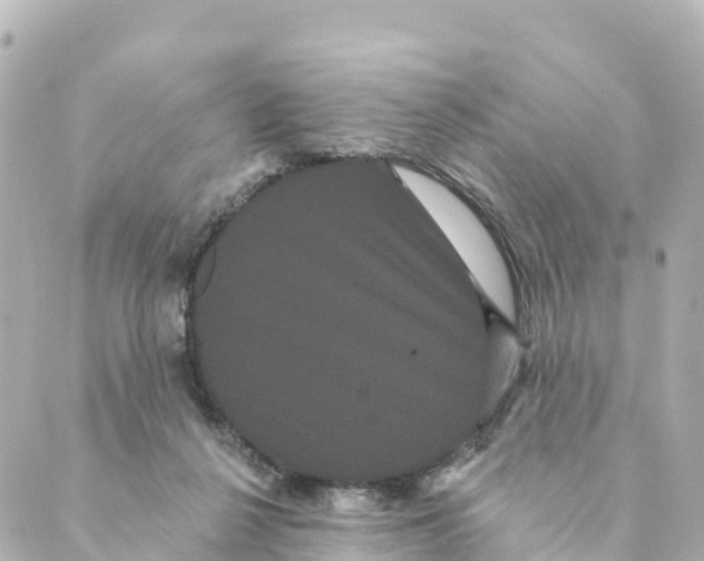 X0000088590264200706221348