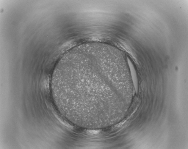 X0000088590265200706221348