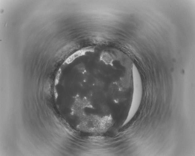 X0000088590266200706221348