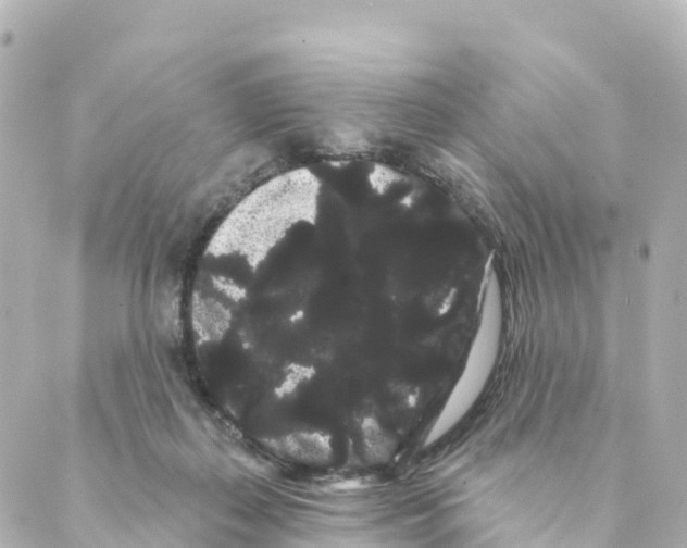 X0000088590267200706221348