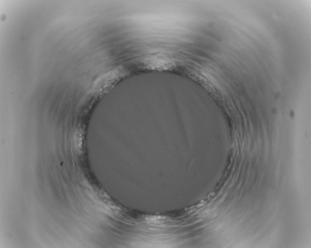 X0000088590268200706221348