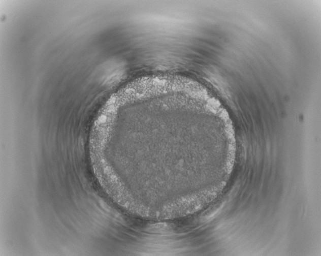 X0000088590269200706221348