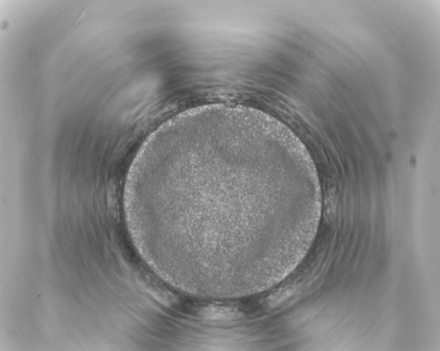 X0000088590270200706221348