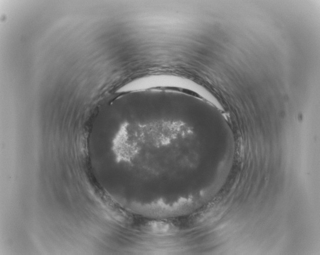 X0000088590272200706221348