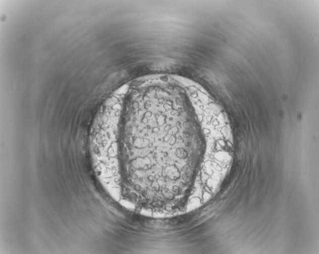 X0000088590273200706221348