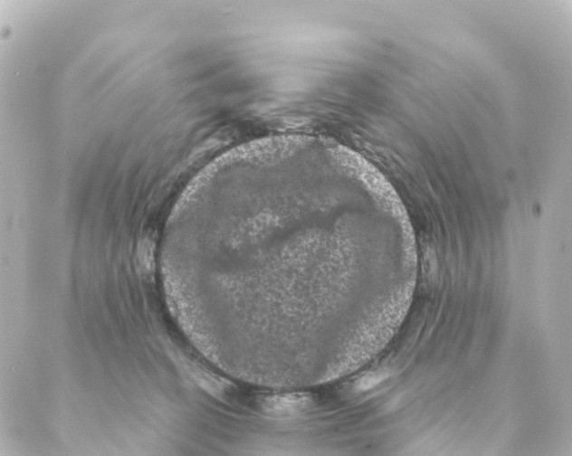 X0000088590274200706221348