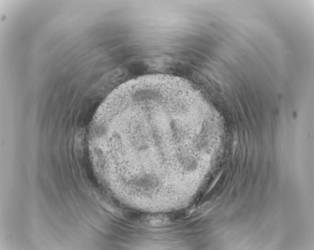 X0000088590275200706221348