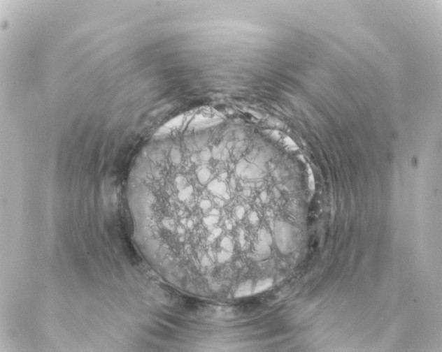 X0000088590276200706221348