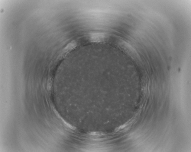 X0000088590277200706221348