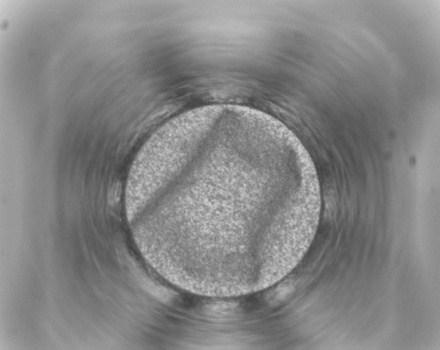 X0000088590278200706221348