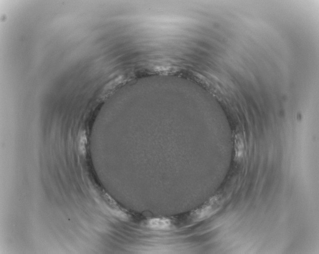 X0000088590279200706221348