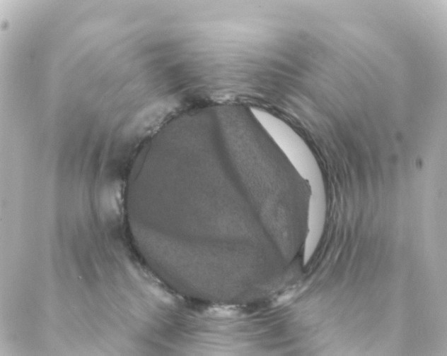 X0000088590280200706221348