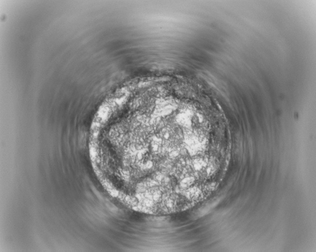 X0000088590281200706221348