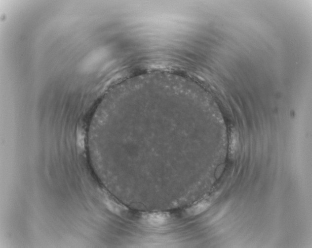 X0000088590282200706221348