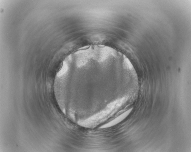 X0000088590283200706221348