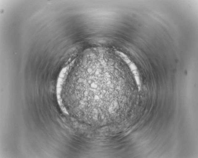 X0000088590284200706221348