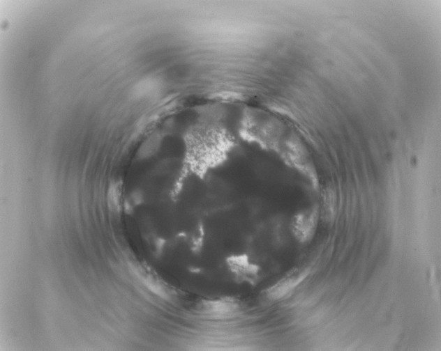 X0000088590286200706221349