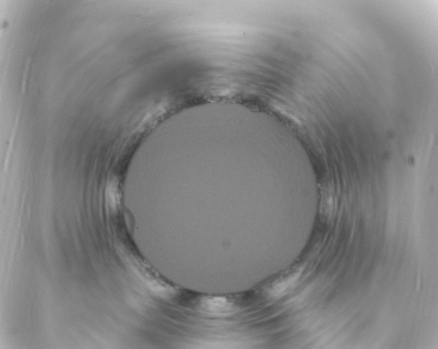 X0000088590287200706221349