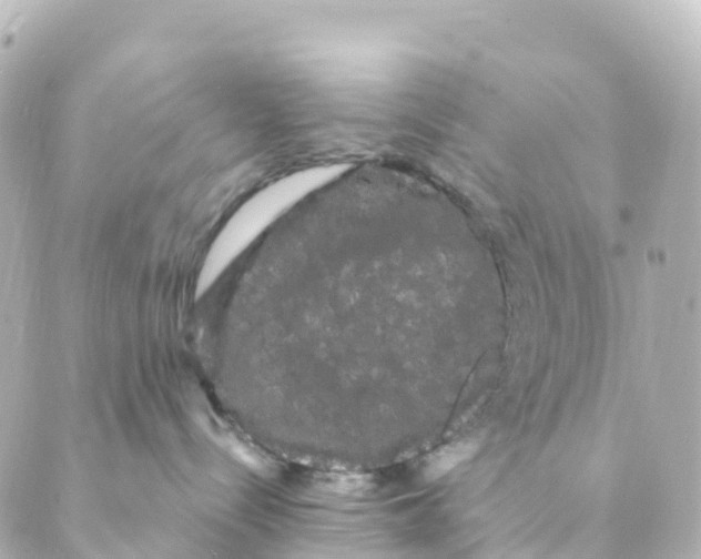 X0000088590288200706221349