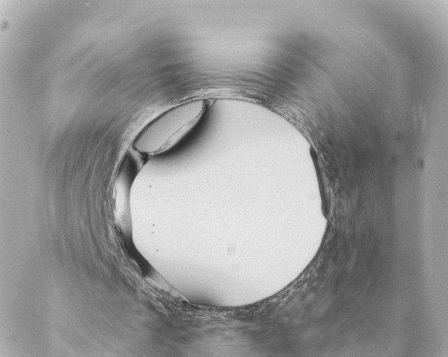 X0000088590289200706221348