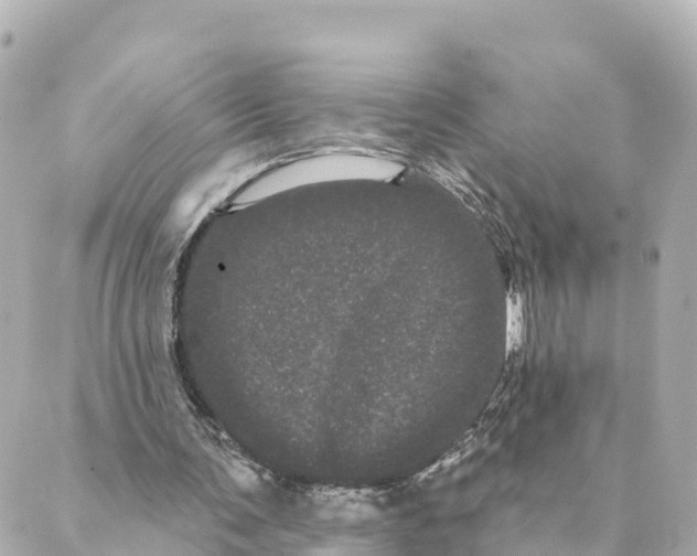 X0000088590291200706221348