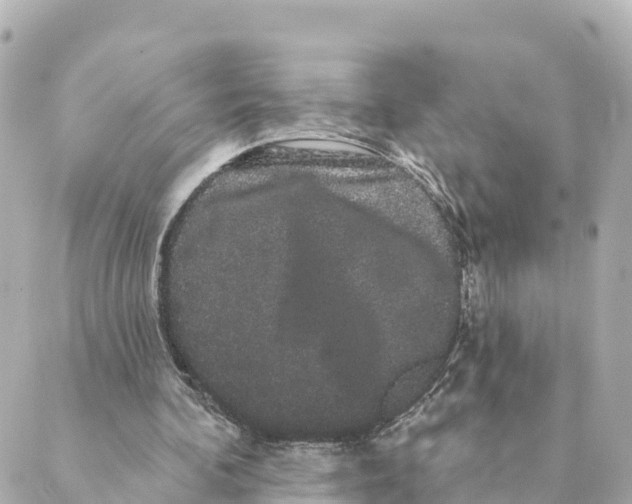 X0000088590292200706221348