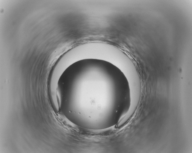 X0000088590293200706221348