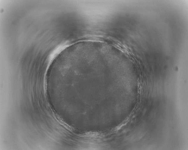 X0000088590294200706221348