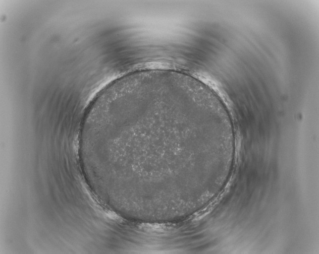 X0000088590297200706221348