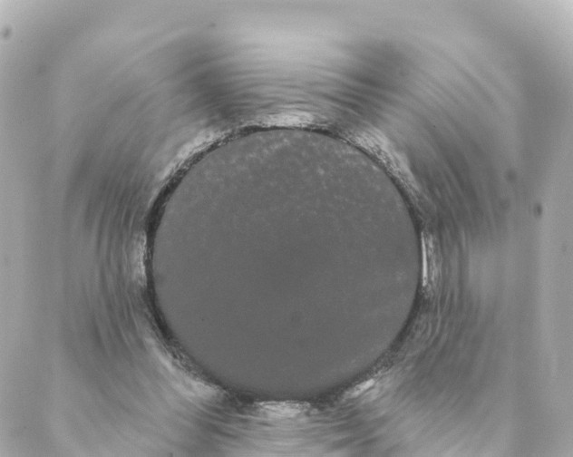 X0000088590300200706221348