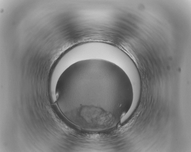 X0000088590301200706221348