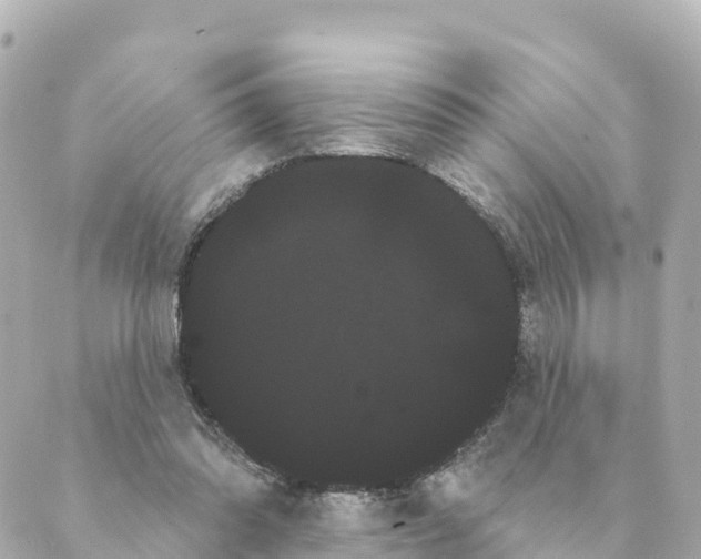 X0000088590302200706221348