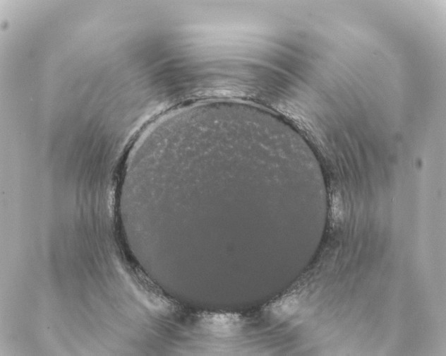 X0000088590304200706221348