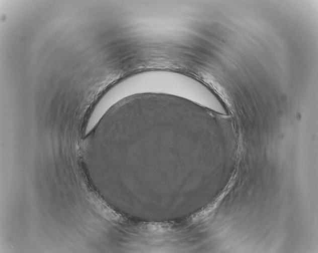 X0000088590305200706221348