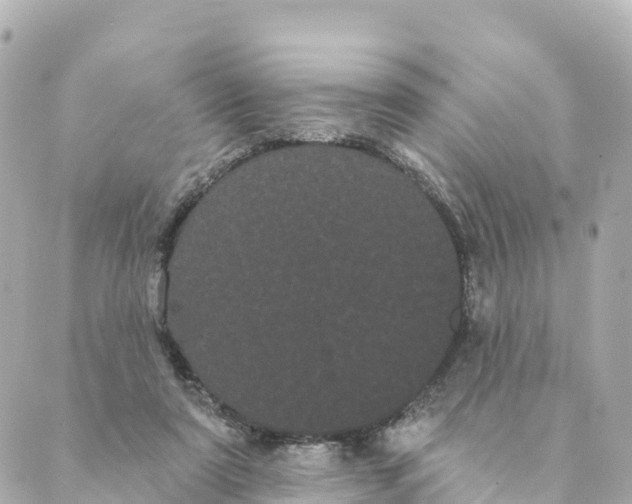 X0000088590307200706221347