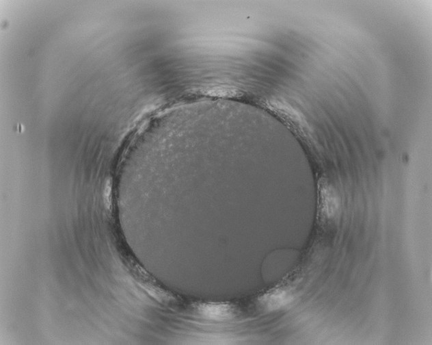 X0000088590308200706221347