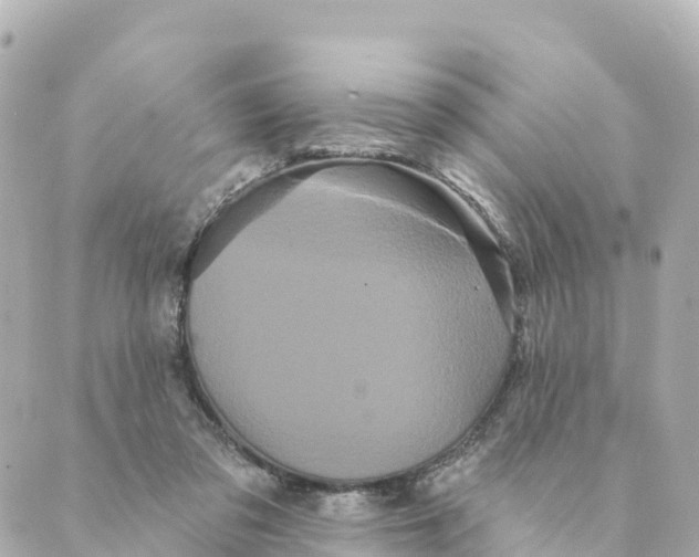 X0000088590309200706221347