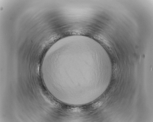 X0000088590310200706221347