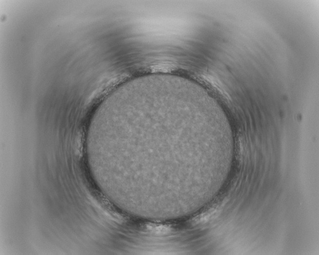 X0000088590311200706221347