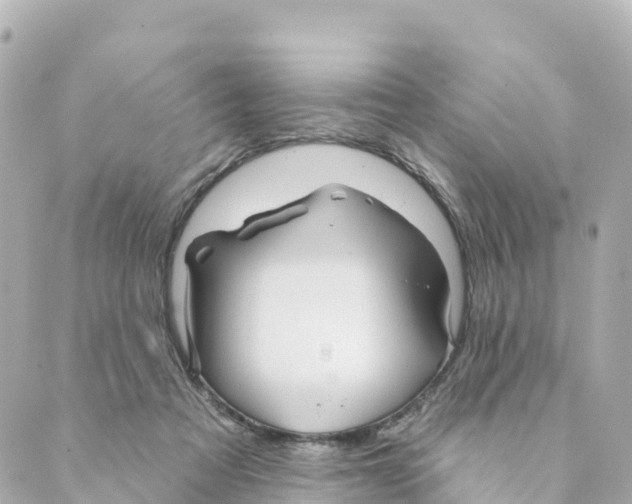 X0000088590313200706221347