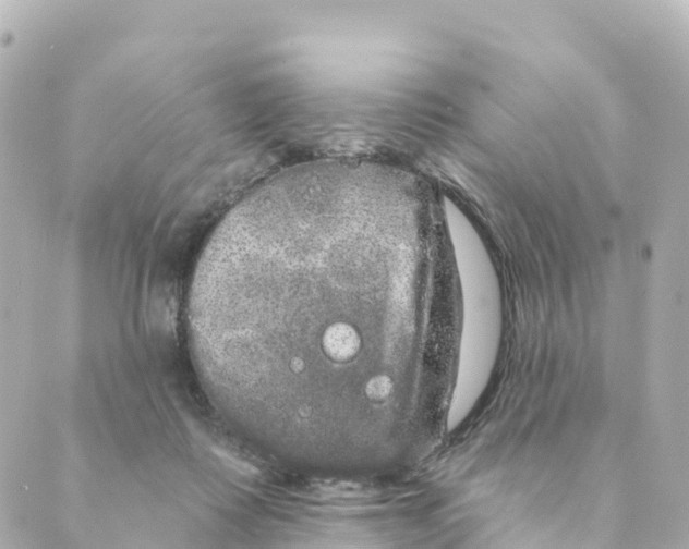 X0000088590315200706221347