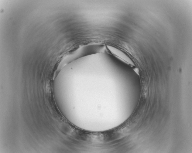 X0000088590317200706221347