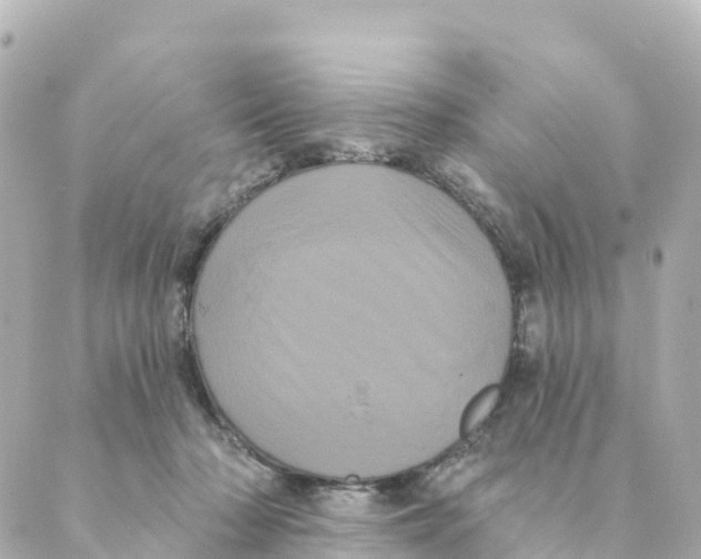 X0000088590318200706221347